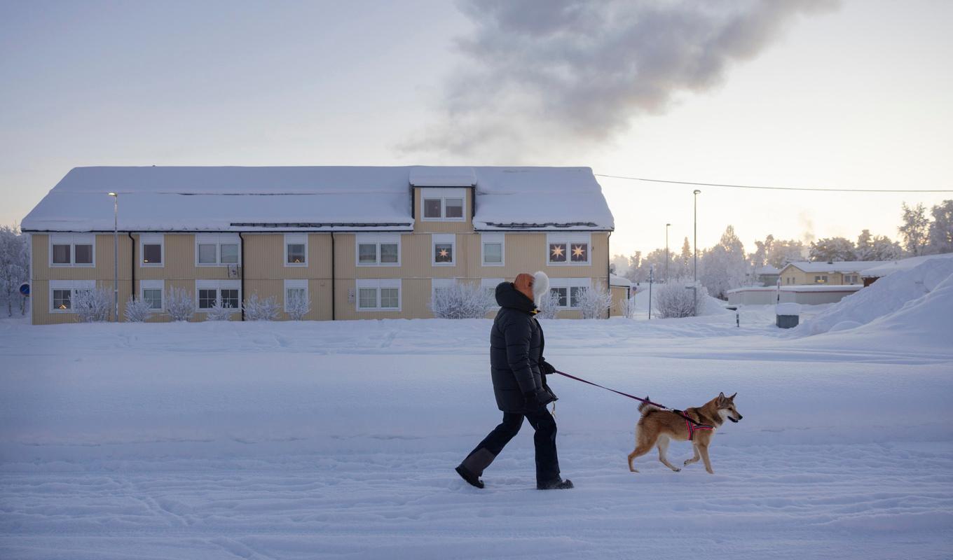 Kyla med -39 grader under morgonen i byn Vittangi i Kiruna kommun, 7,5 mils bilväg sydöst om Kiruna. Johanna Henriksson med hunden Tikka. Foto: Emma-Sofia Olsson/TT