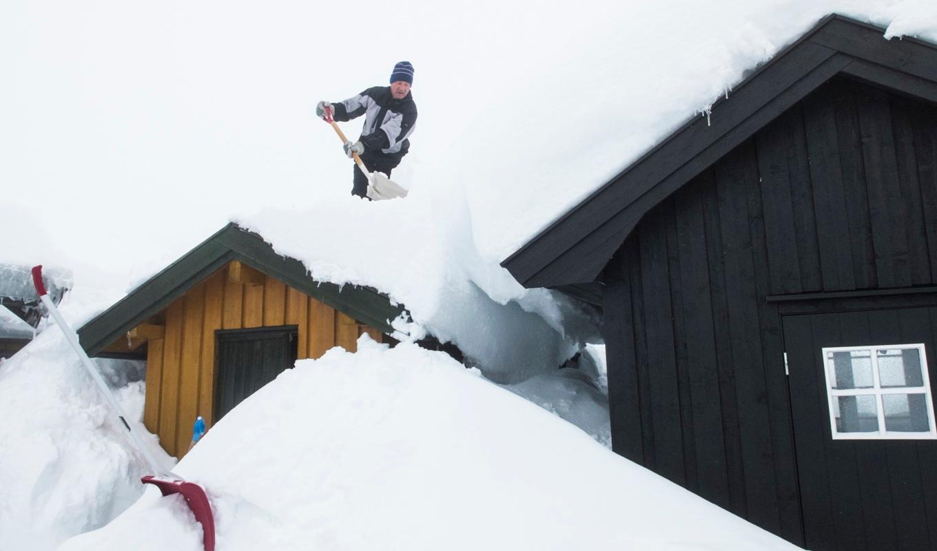 Fler hör av sig till försäkringsbolagen om skador orsakade av snö och kyla. Arkivbild. Foto: Berit Roald/NTB/TT