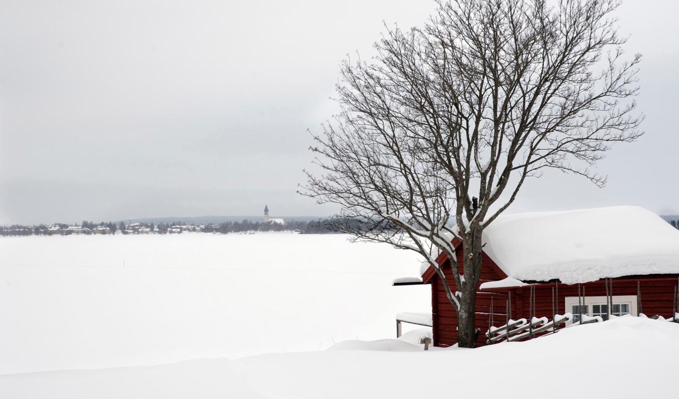 Såväl stora som små kunder minskade förbrukningen. Arkivbild. Foto: Victor Lundberg/TT