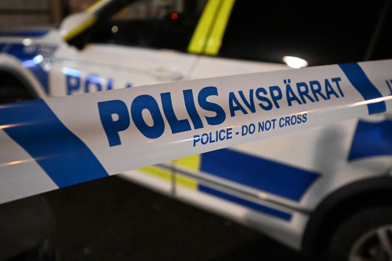 En man i 45-årsåldern misstänks för vållande till kroppsskada efter att hans hundar attackerat en kvinna. Arkivbild. Foto: Johan Nilsson/TT