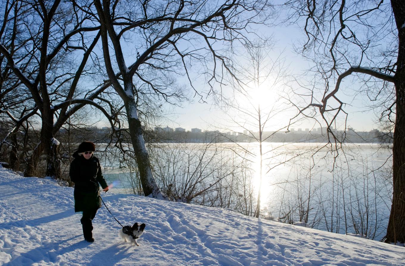 Tisdagen bjuder på övervägande kallt och klart väder. Sedan kommer snön. Arkivbild. Foto: Henrik Montgomery/TT