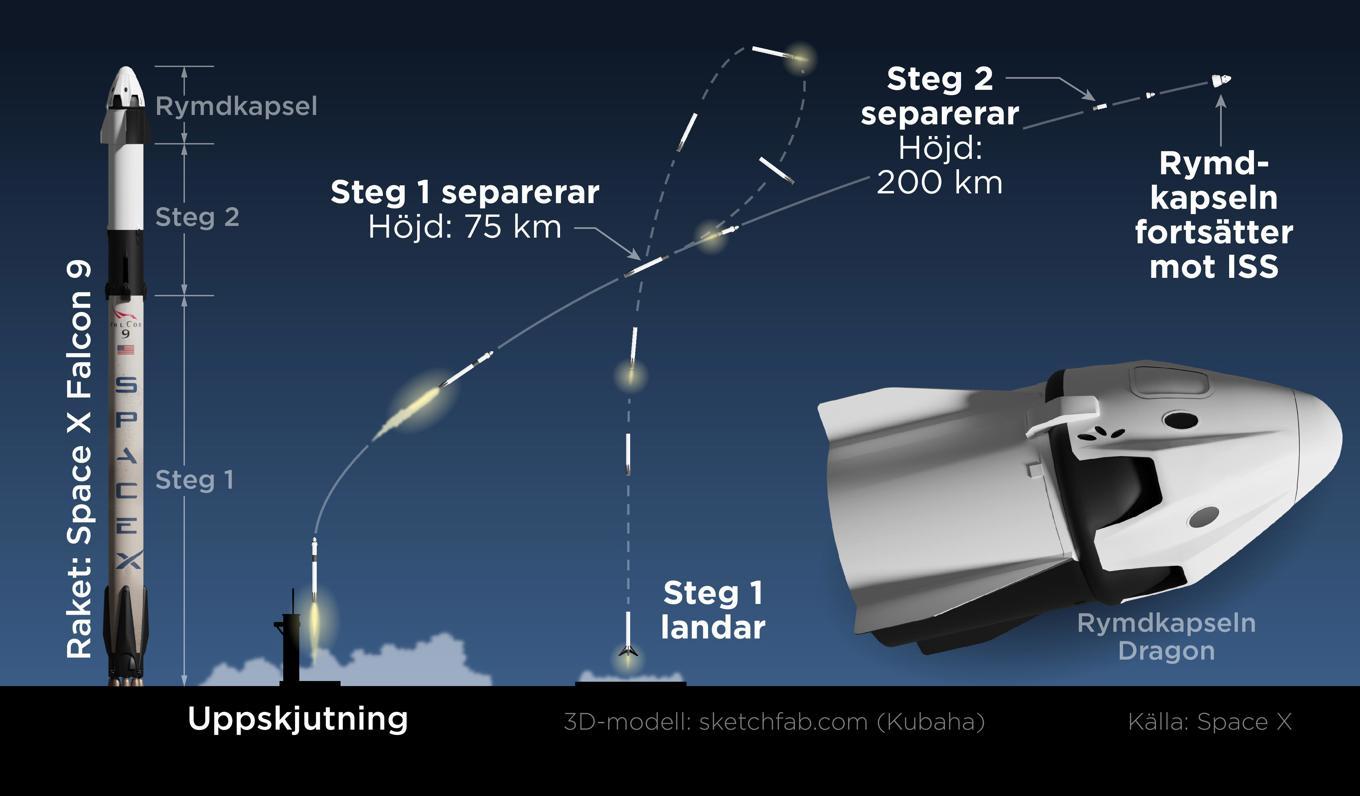 Raketen Falcon 9 som ska föra astronauterna, bland andra Marcus Wendt, till ISS består av två raketsteg. Det första återvänder till jorden och kan användas vid fler uppskjutningar. Foto: Anders Humlebo