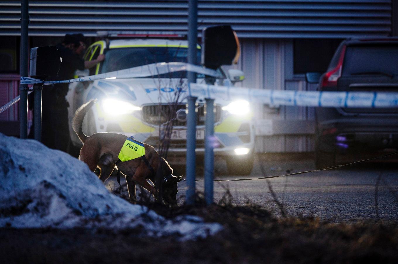 Polis på plats efter skottlossningen i stadsdelen Öst på stan i Umeå den 17 april 2023. Arkivbild. Foto: Erik Abel/TT