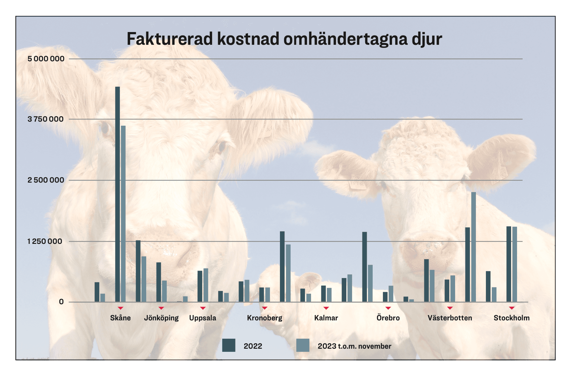 Kostnaden för omhändertagna djur ska betalas av djurägarna, men för dem som inte kan betala hamnar notan hos Kronofogden. Grafik: Epoch Times