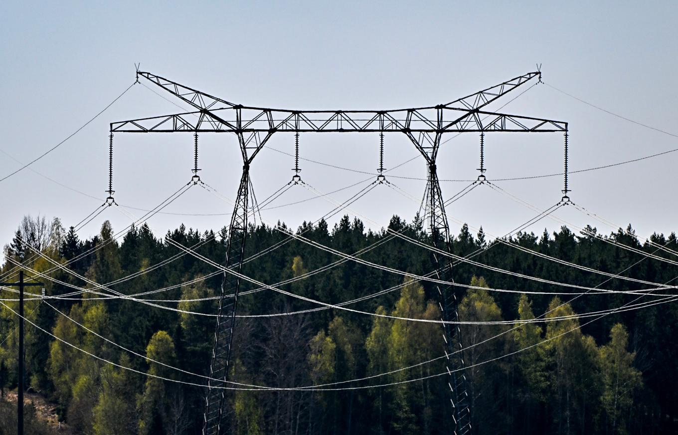 Sverige saknar åtgärdsplaner för elnätskollapser och bryter därmed mot en bindande EU-lag. Arkivbild. Foto: Jonas Ekströmer/TT