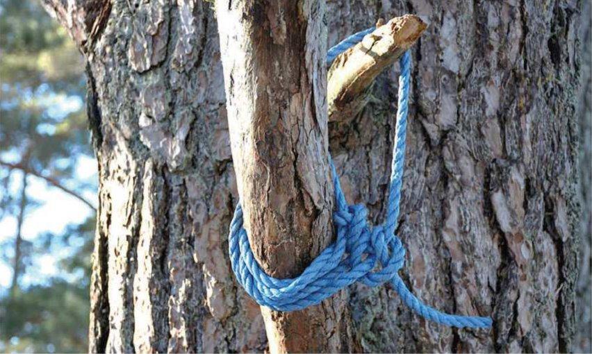 Det blå rep som det 26-årige offret hittades hängd i, fastsurrat i en gren. En bit från samma rep hittades hemma hos en av bröderna. Bild från polisens förundersökning. Foto: Polisen/TT