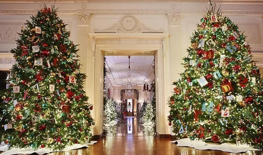 Ett rikligt granbestånd i årets julskrudade Vita huset. Foto: Kevin Dietsch Getty Images