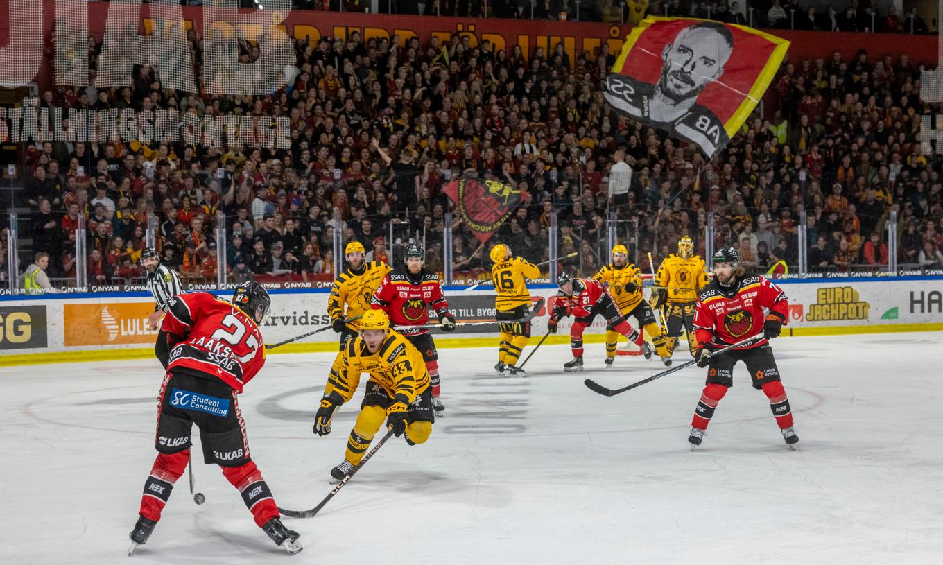 Fullspikat på läktarplats. En vanlig syn när Luleå spelar hemma i SHL. Arkivbild. Foto: Pär Bäckström/TT