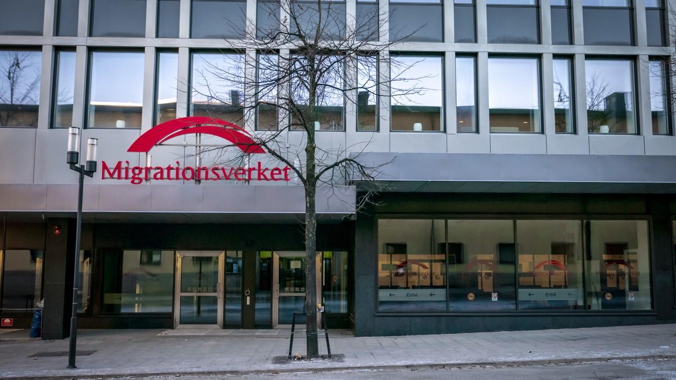 Antalet ansökningar om arbetstillstånd för att plocka bär i Sverige är mycket lägre i år än tidigare, enligt Migrationsverket. Foto: Bilbo Lantto