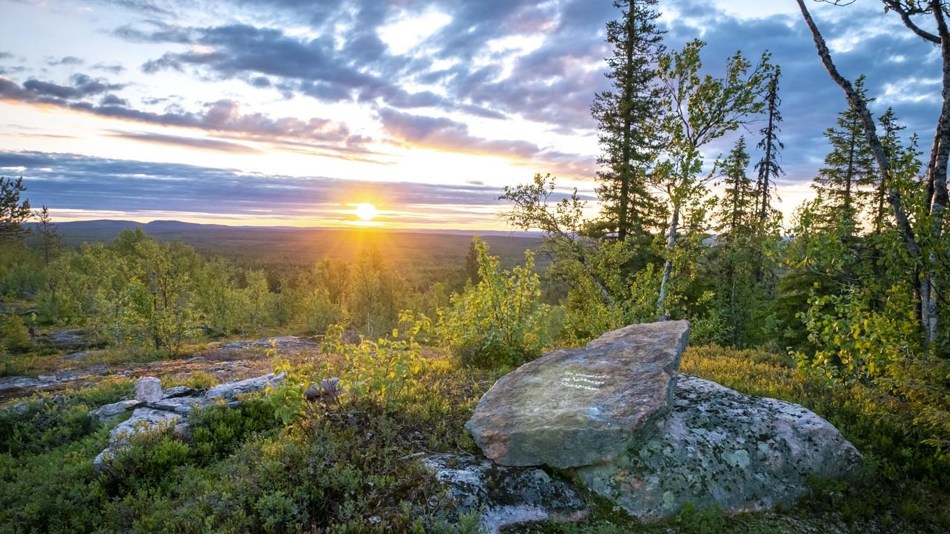 Det finns över 5 000 naturreservat i Sverige och de utgör den största andelen skyddad natur i landet. Foto: Bilbo Lantto