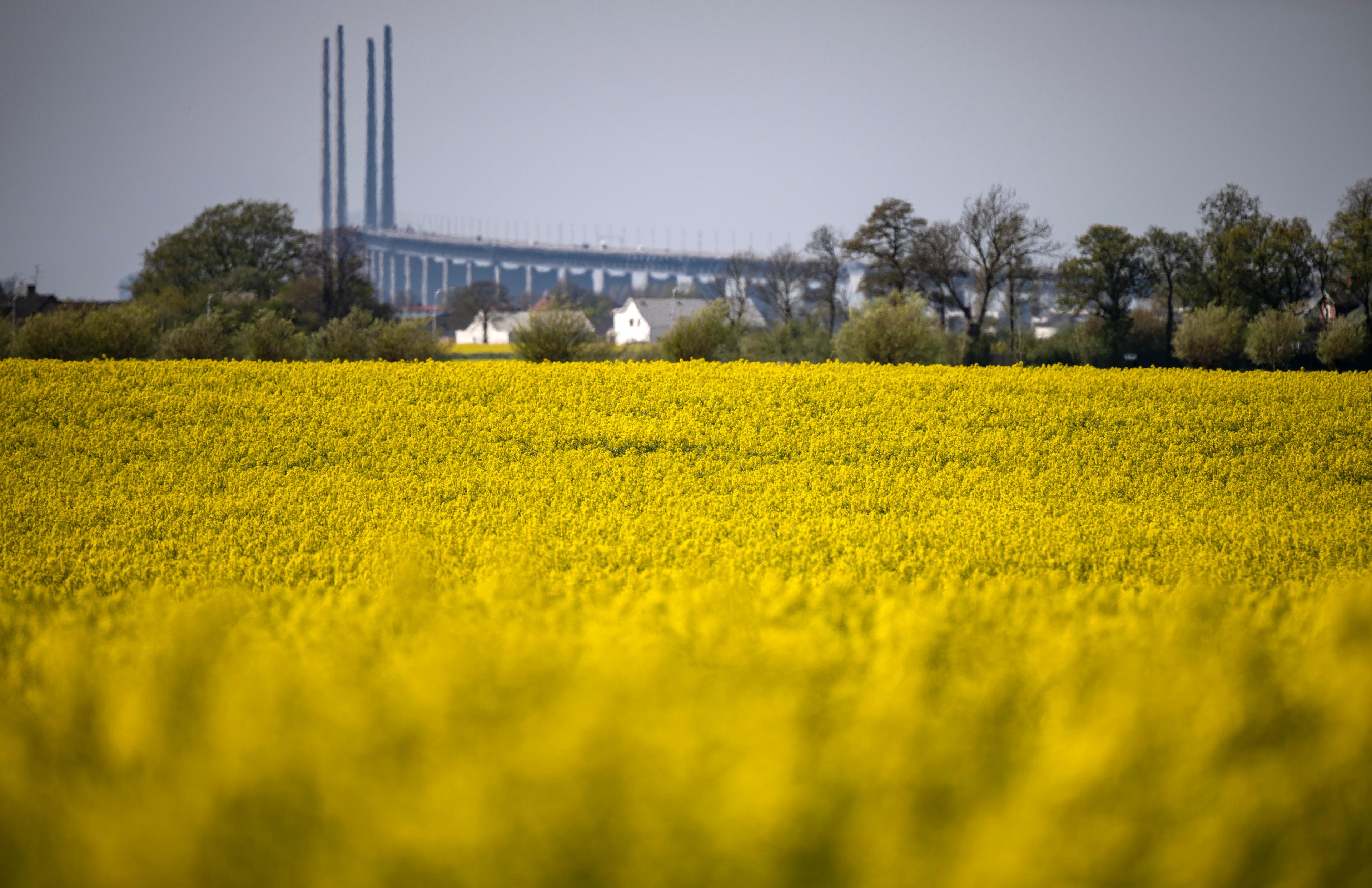 Byggindustrin hoppas på kommande räntesänkningar – kan det innebära en vändning för Skåne? Arkivbild. Foto: Johan Nilsson/TT