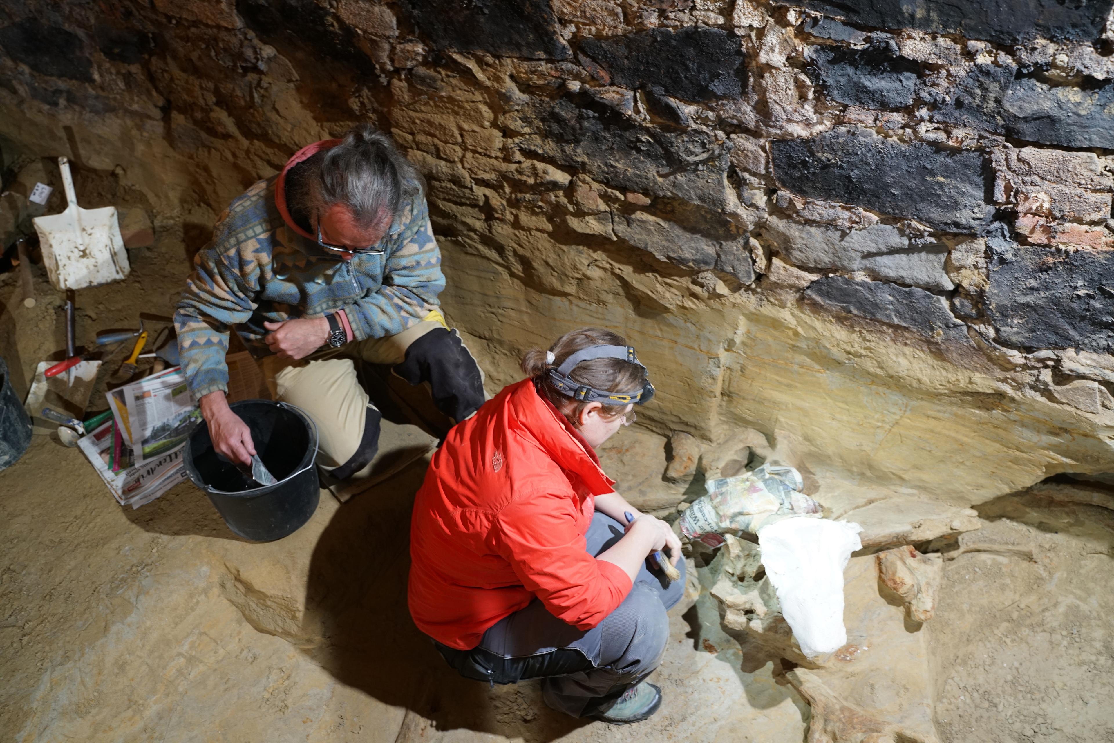 Arkeologen Hannah Parow-Souchon, till höger i bild, arbetar vid utgrävningen i en österrikisk vinkällare. Foto: Yannik Merkl/Austrian Archaeological Institute