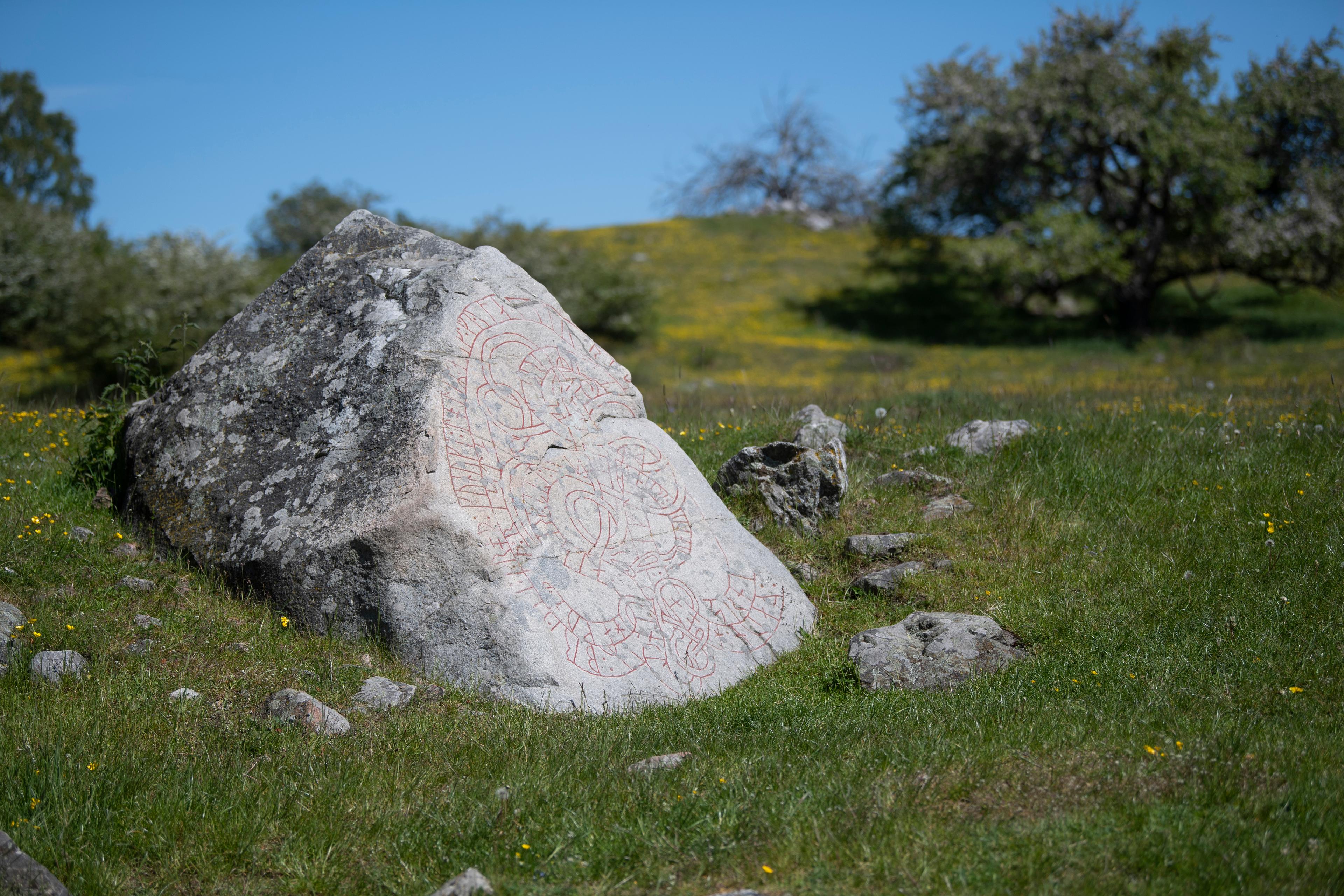 Runstenen Håkansstenen vid Hovgården på Adelsö. Hovgården är ett svenskt världsarv. Arkivbild. Foto: Fredrik Sandberg/TT