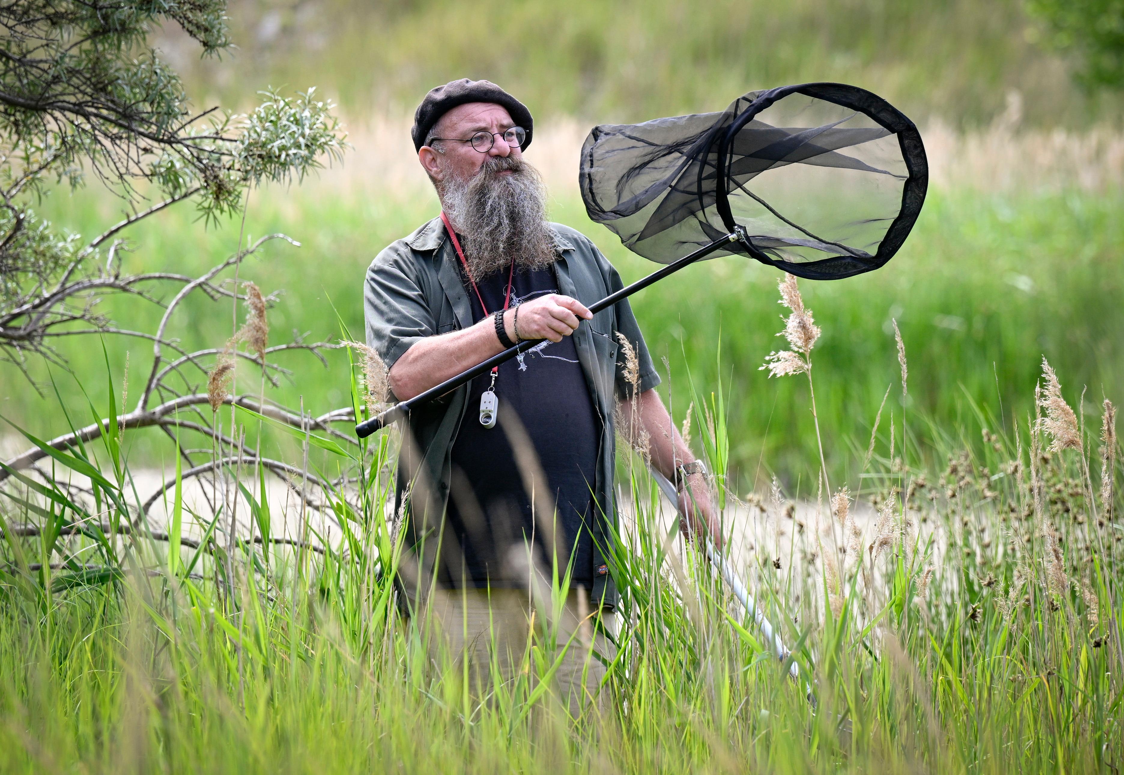 Myggforskaren Anders Lindström från Statens veterinärmedicinska anstalt är Sveriges främste myggexpert. Han avfärdar metoden att odla växter för att hålla myggen borta. Arkivbild. Foto: Johan Nilsson/TT