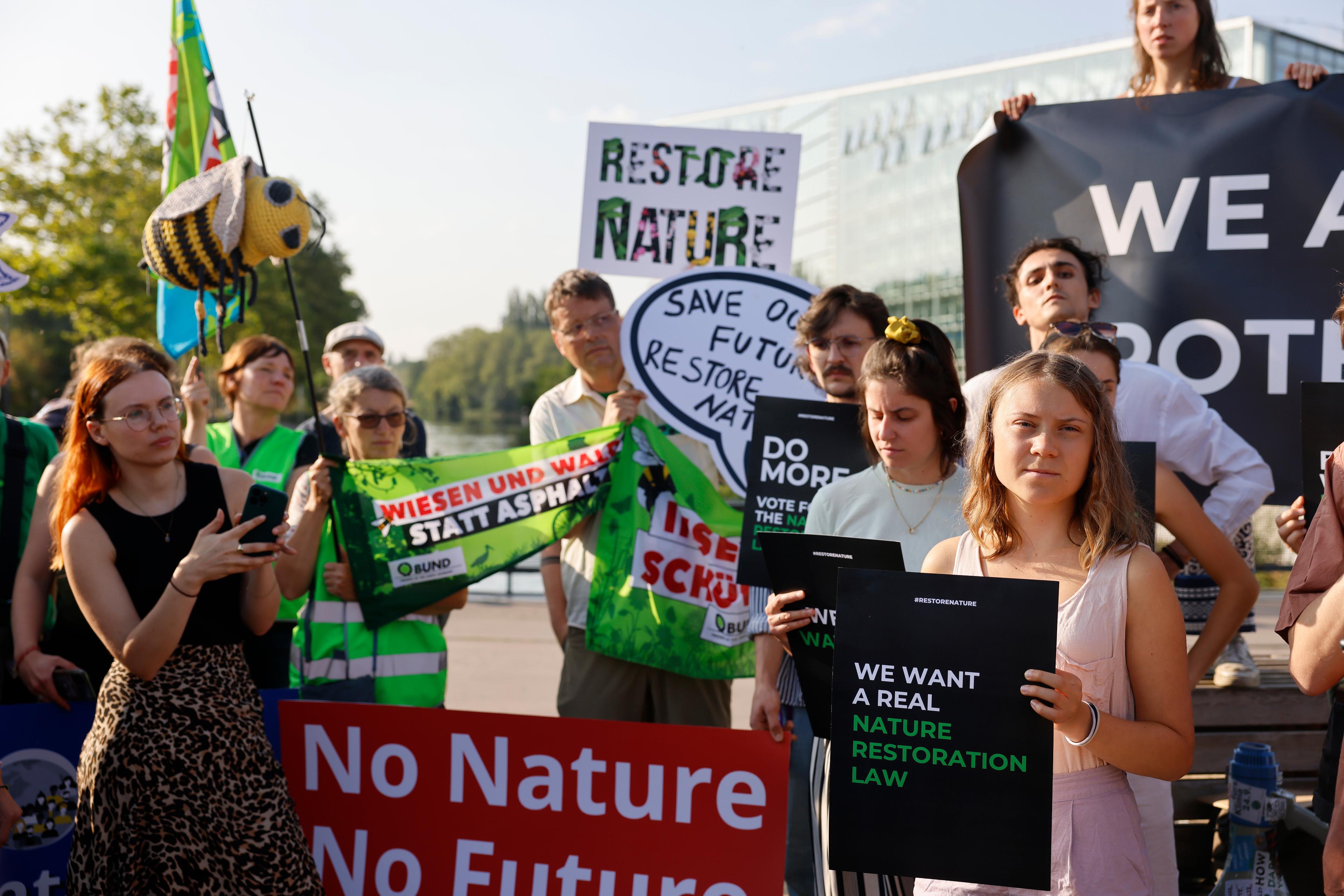 Svenska miljöaktivisten Greta Thunberg med flera demonstrerade för naturrestaureringslagen vid EU-parlamentet i fjol. Nu kan ett klartecken vara nära. Arkivfoto. Foto: Jean-Francois Badias/AP/TT