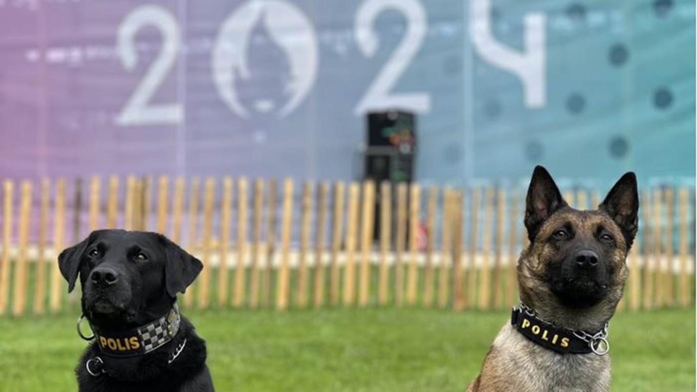 I samband med säkerheten i vid OS i Paris används svenska hundar. Foto: Polismyndigheten