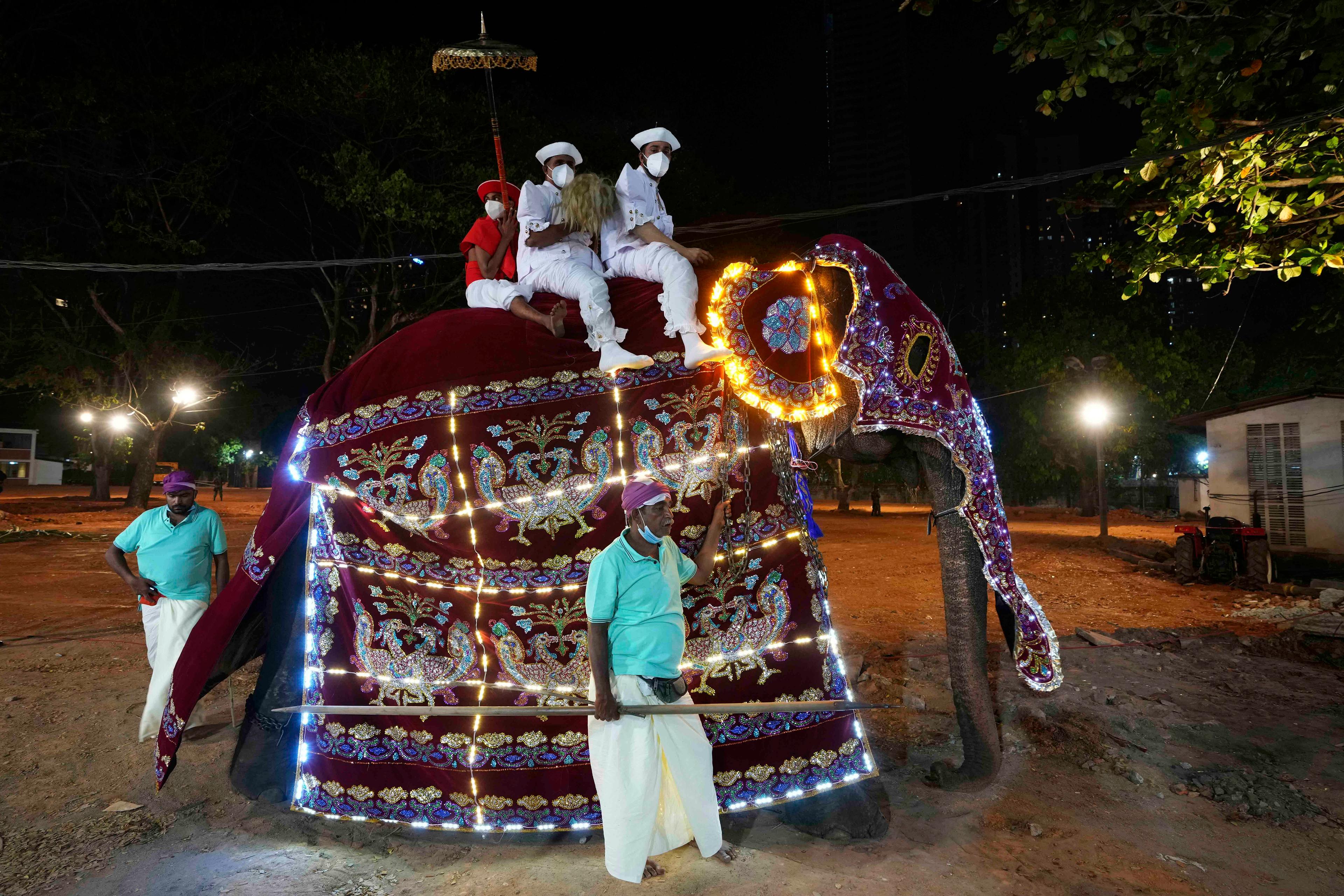 Arkivbild på en dekorerad elefant under en religiös festival i Colombo, Sri Lanka 2022. Foto: Eranga Jayawardena/AP/TT