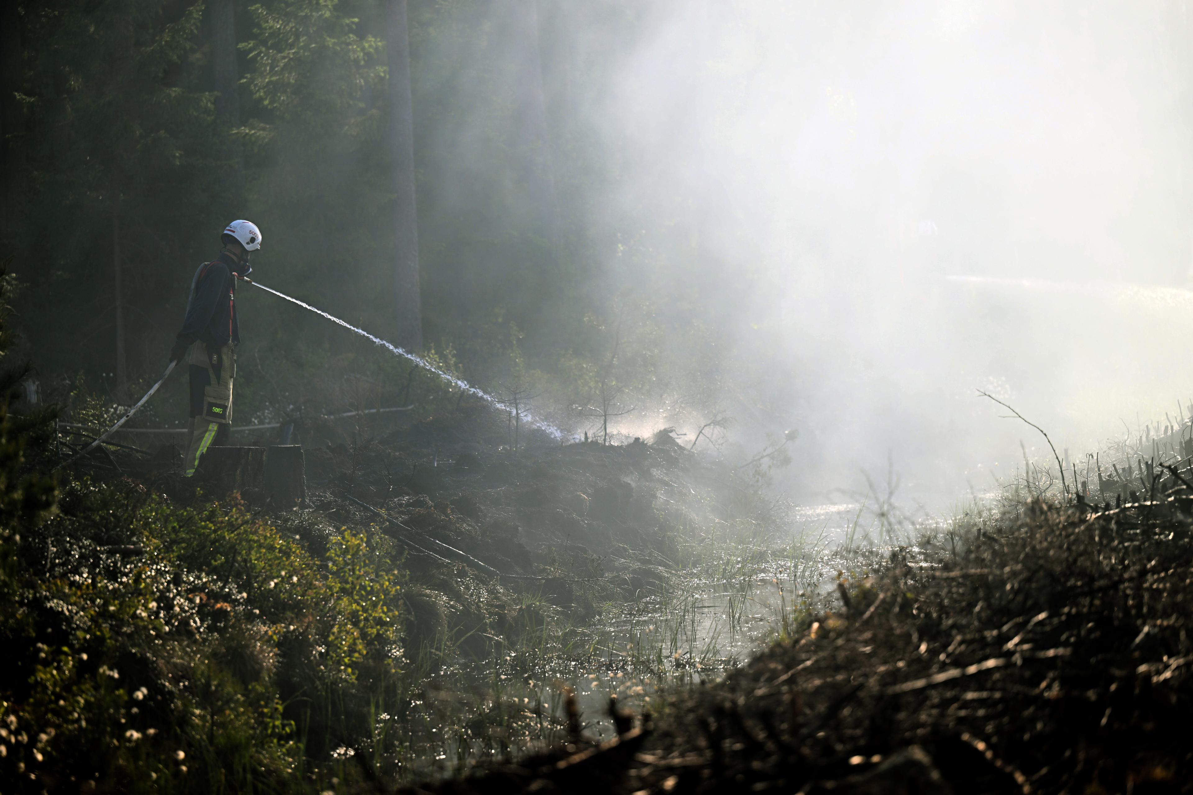 Risken för skogsbränder är stor i delar av Sverige. Arkivbild. Foto: Fredrik Sandberg/TT