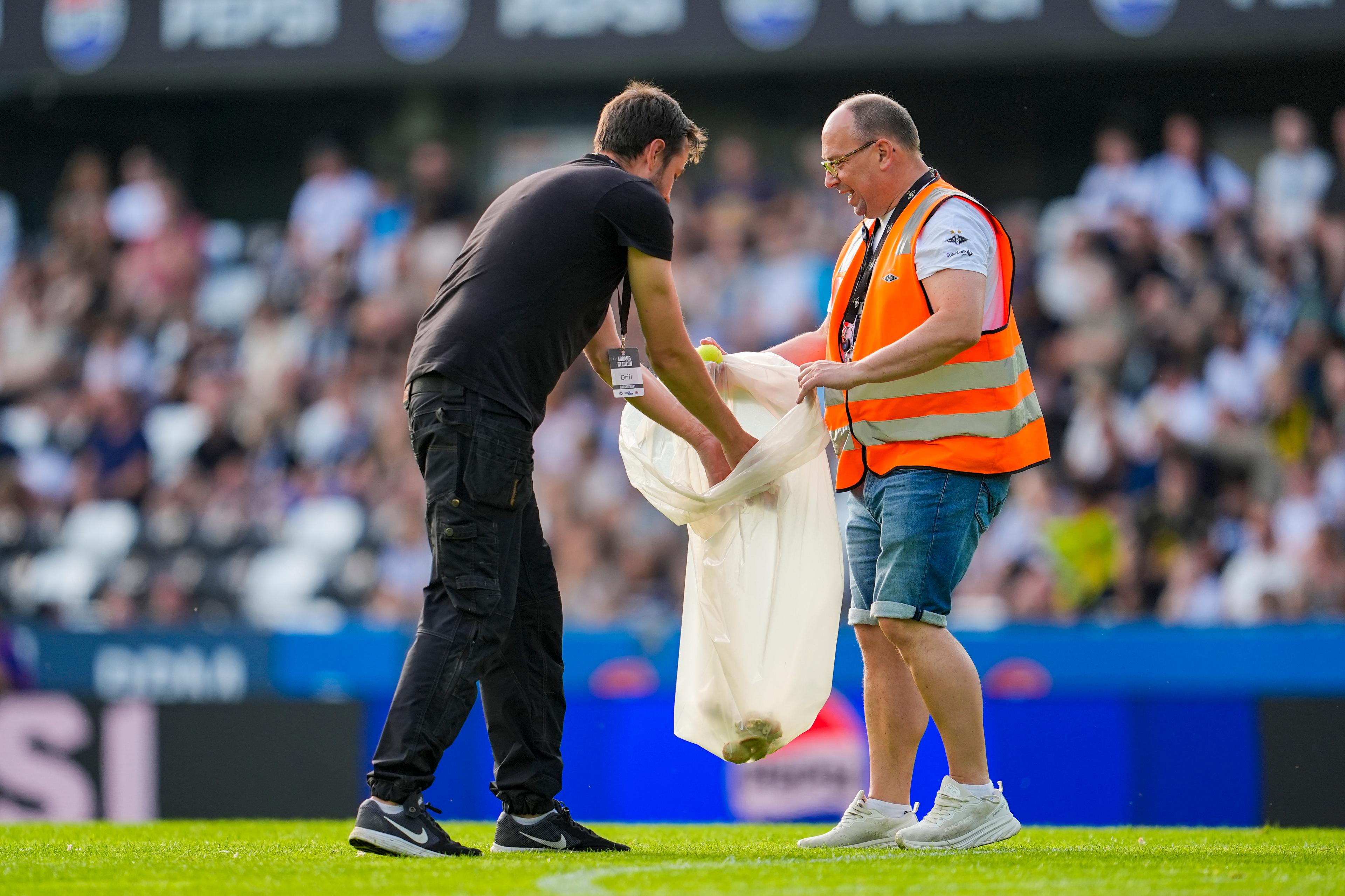 Funktionärer samlar ihop inkastade fiskbullar och tennisbollar under fotbollsmatchen mellan Rosenborg och Lillestrøm i söndags. Arkivbild. Foto: Ole Martin Wold/NTB/TT