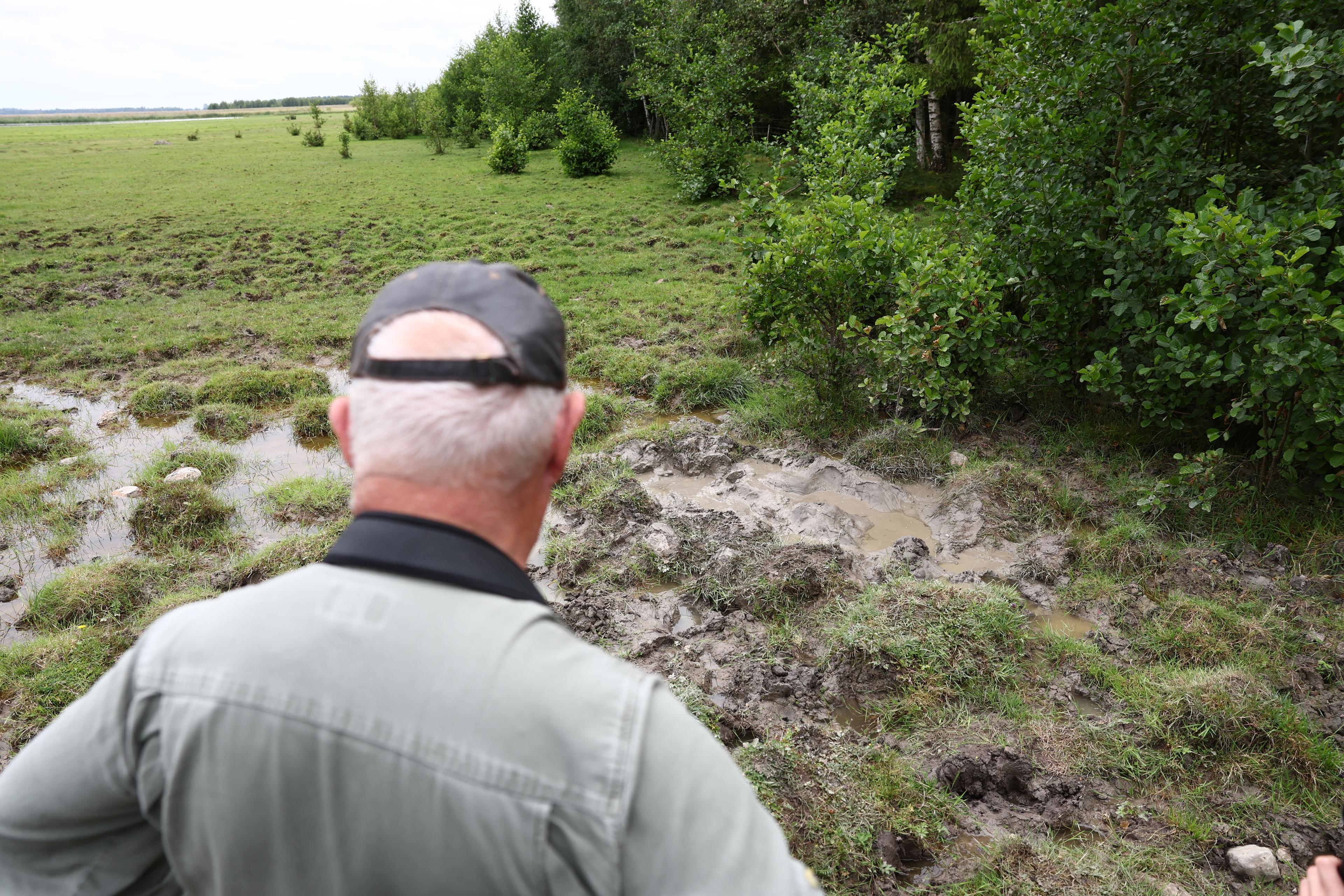 Fågelskådaren Tommy Eriksson visar platsen där han hittade mannen som satt fast i leran i närmare ett dygn. Foto: Jeppe Gustafsson/TT