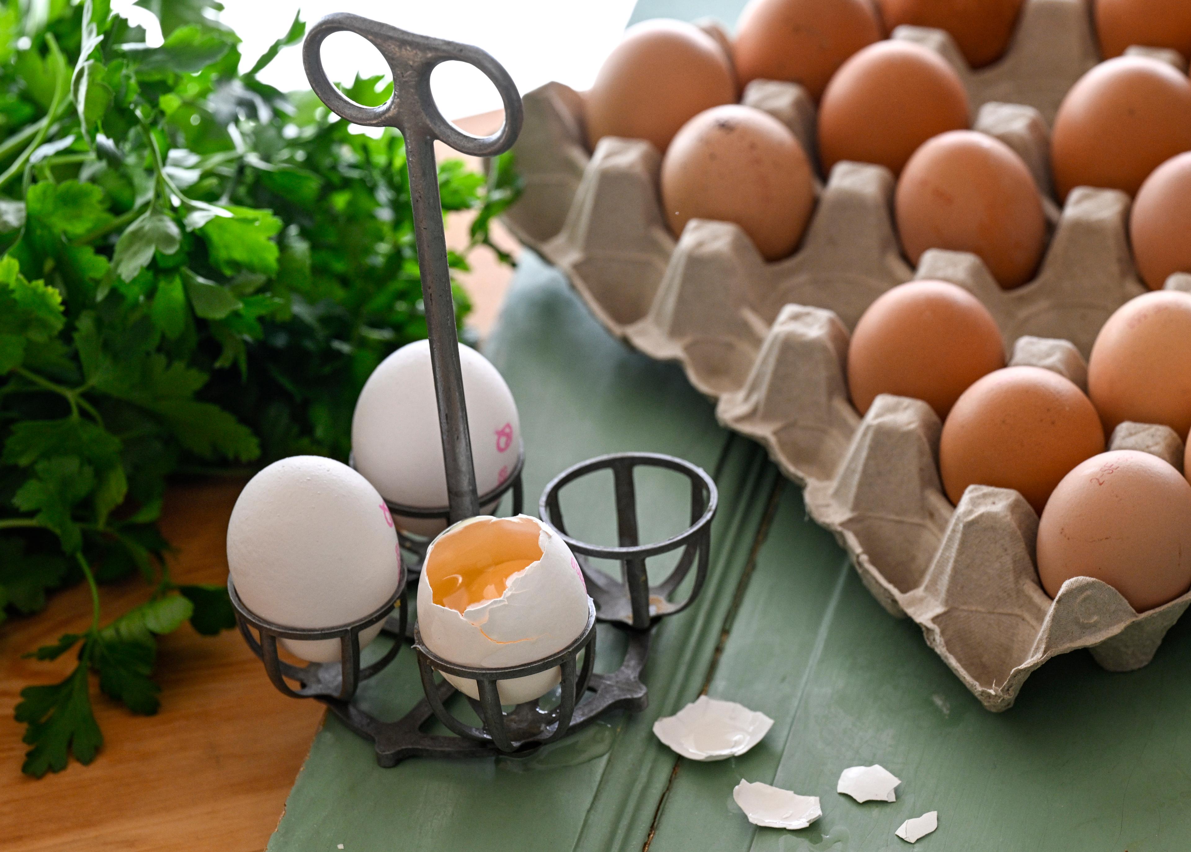Axfood, Lidl och Ica återkallar ägg. Arkivbild. Foto: Johan Nilsson/TT