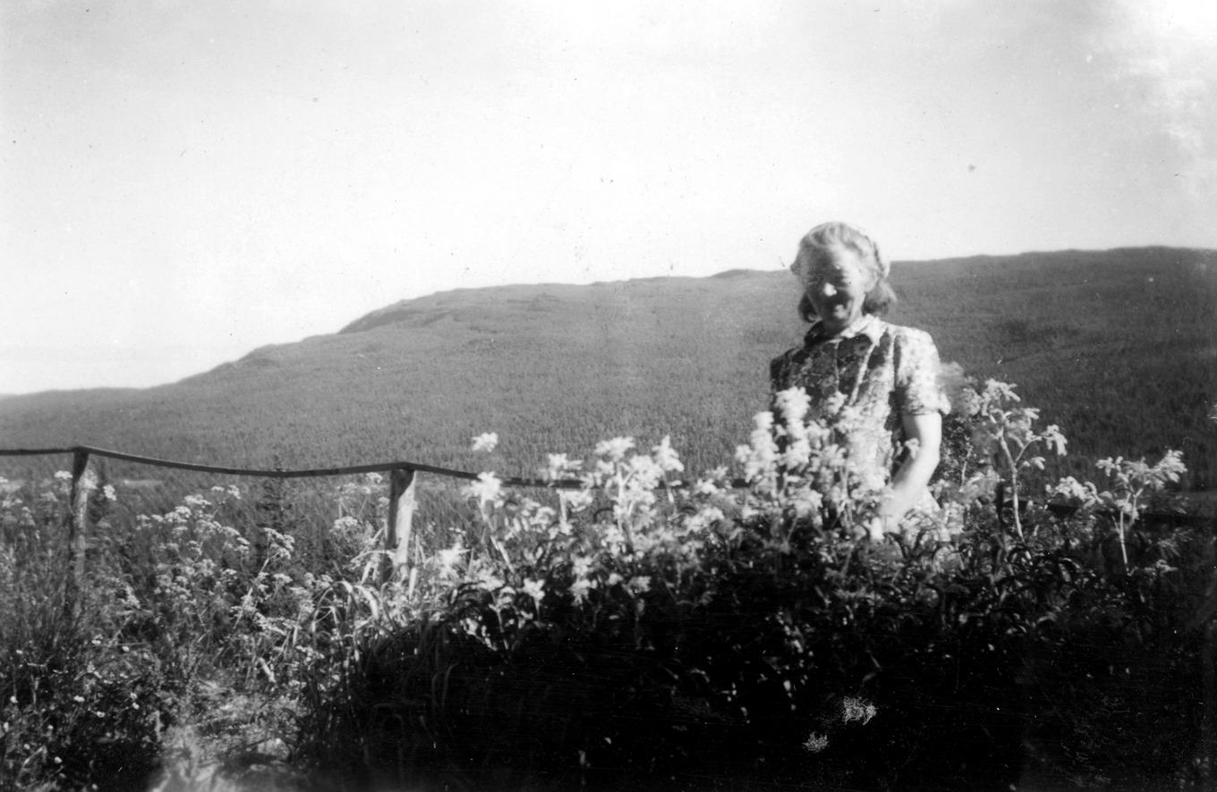 ”Va ändå allting har lätt för å väx' här”, sade Blomsterlotta. Trädgården, med fjällen i bakgrunden, var en stor glädje för henne. Foto: Privat