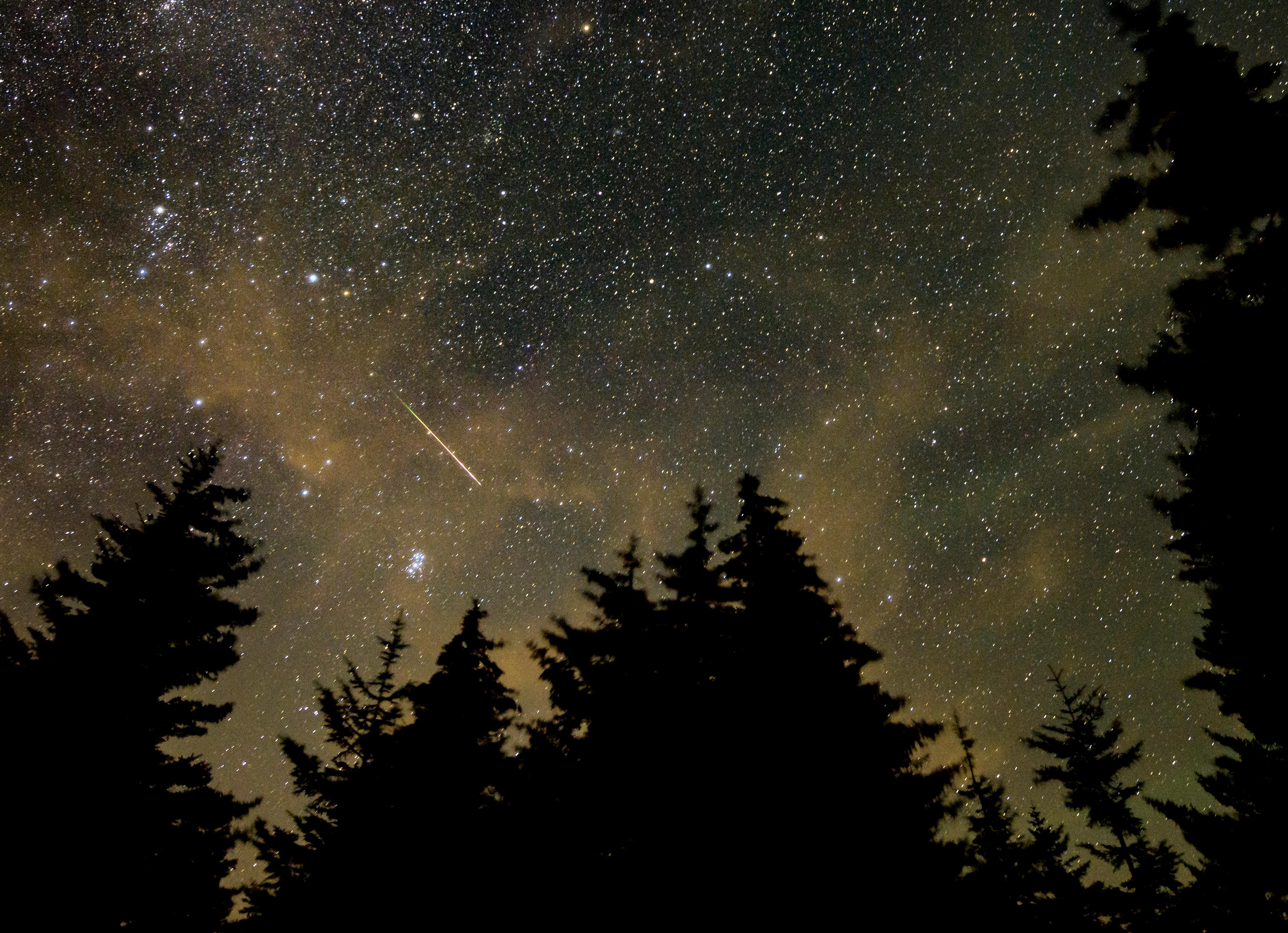 Meteorsvärmen Perseiderna fångad på bild i West Virginia 2021. Fenomenet kan ses över hela jordklotet. Arkivbild. Foto: Bill Ingalls/NASA via AP/TT