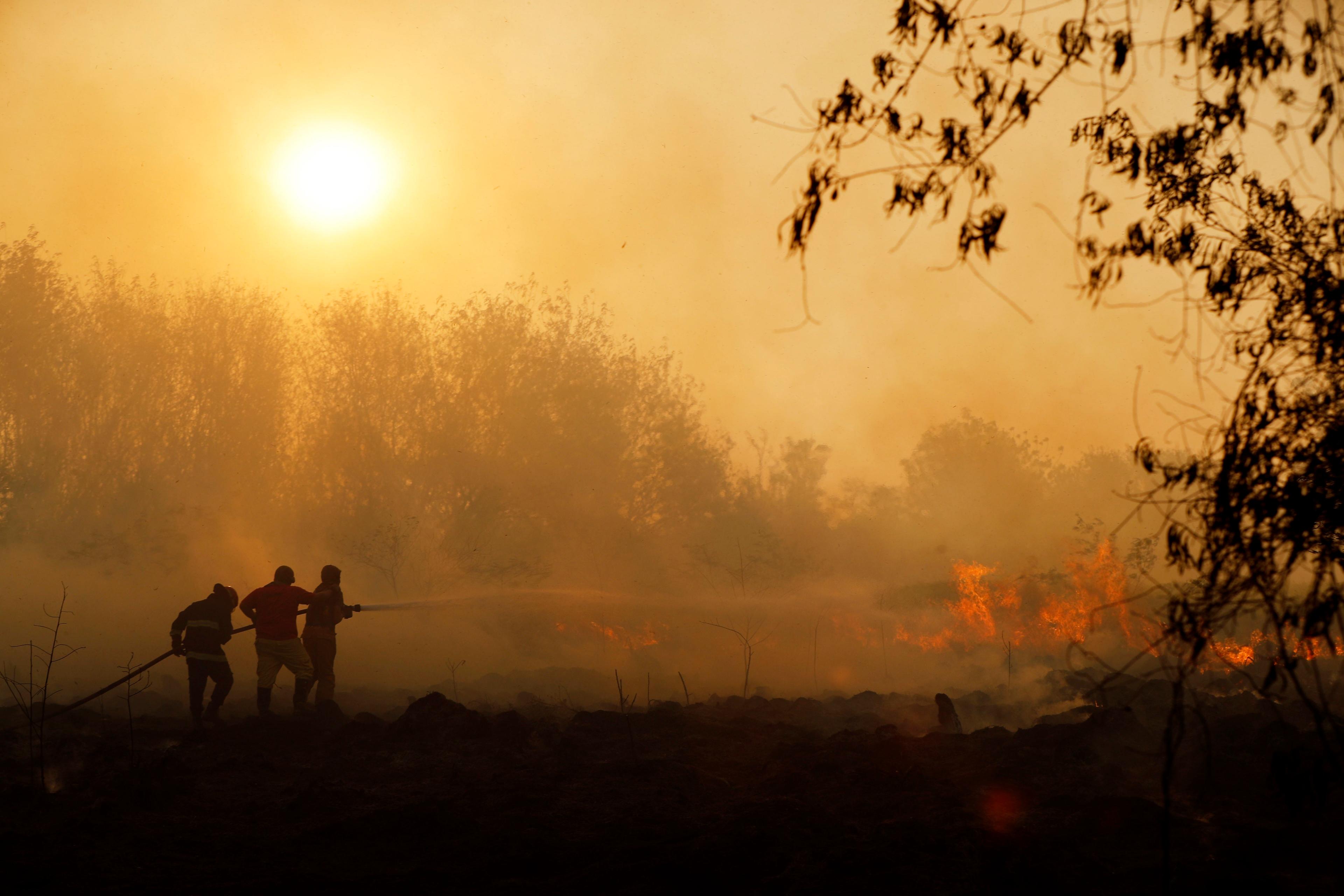 Risken för brand i östra delarna av landet är mycket stor. Arkivbild. Foto: Jorge Saenz/AP/TT