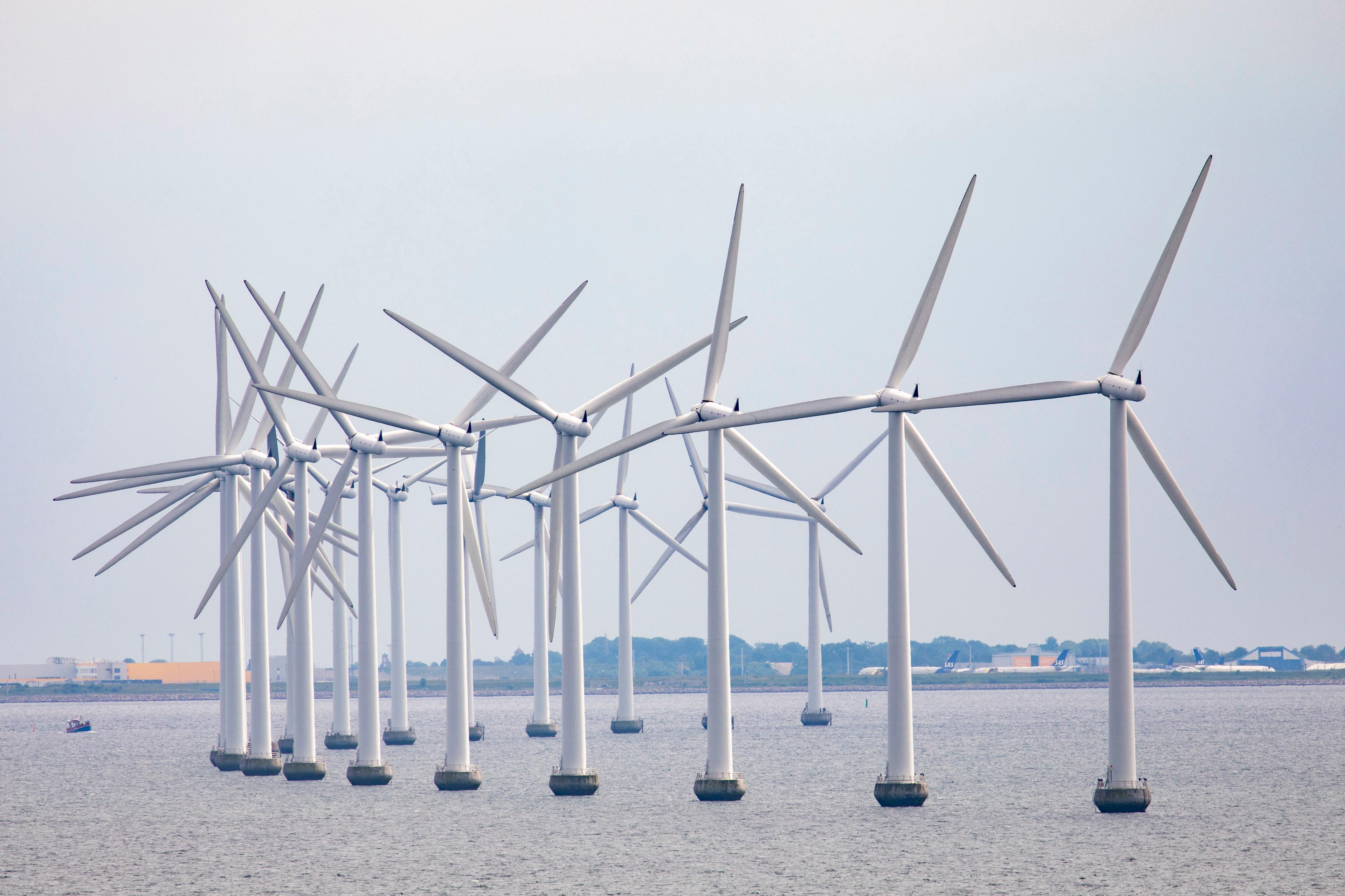 En dansk vindkraftspark i Öresund. Arkivbild. Foto: Paul Kleiven/NTB/TT