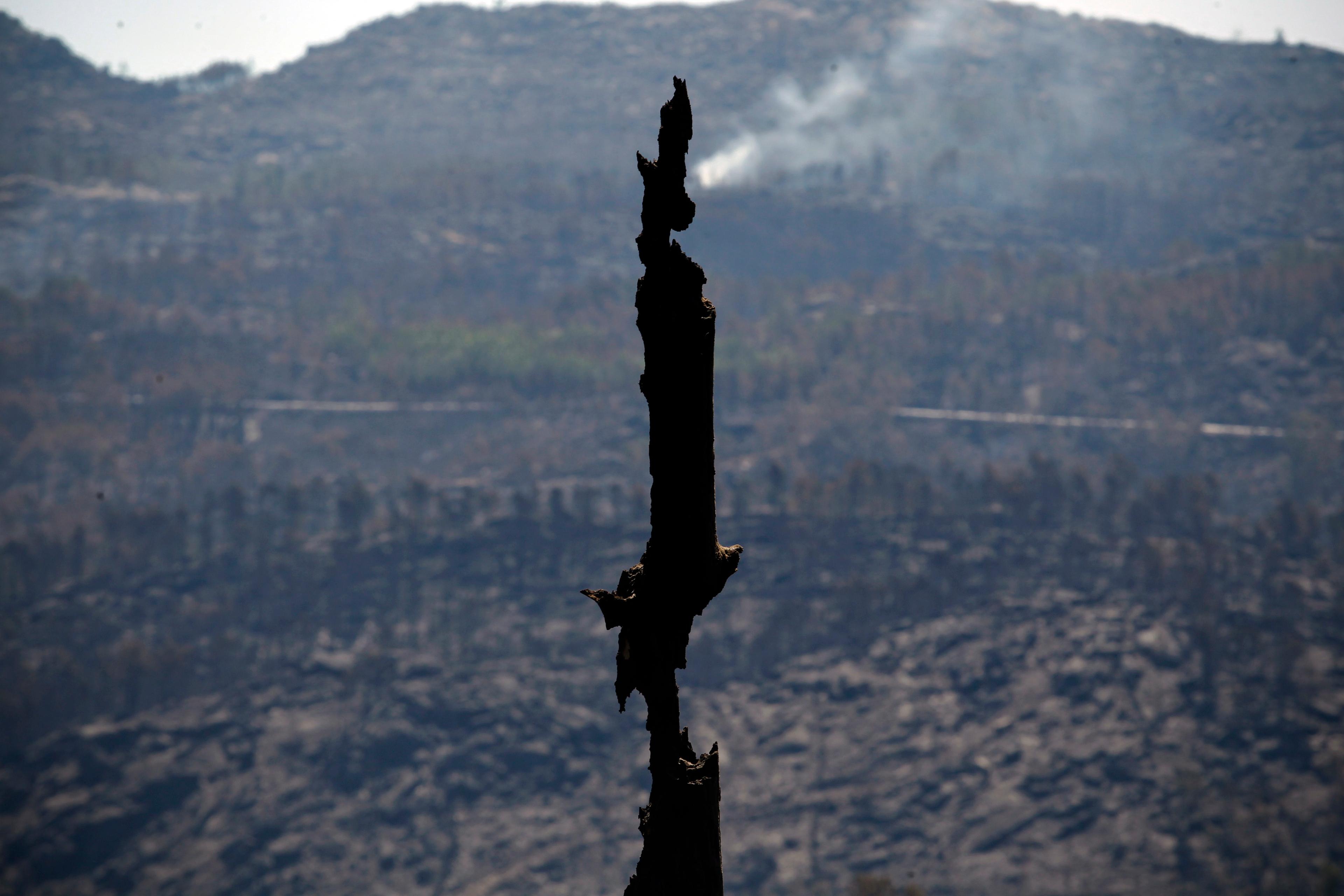 Skogsbränder som orsakar ödelagda områden drabbar Portugal med återkommande intensitet. Arkivbild. Foto: Francisco Seco/AP/TT