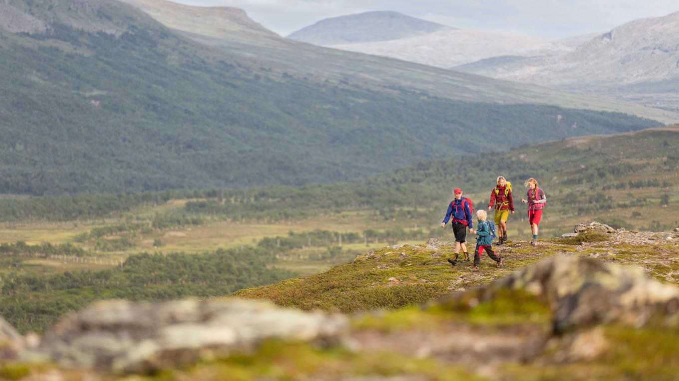 Vandring längs Jämtlandstriangeln har lockat färre turister i sommar efter STF:s nya upplåtelseavtal med samebyarna med syfte att skydda rennäringen. Foto: Niclas Vestefjell