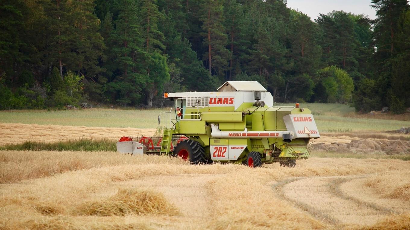 I väntas skörden av spannmål landa på 5,1 miljoner ton, enligt Jordbruksverket. Foto: Susanne W. Lamm