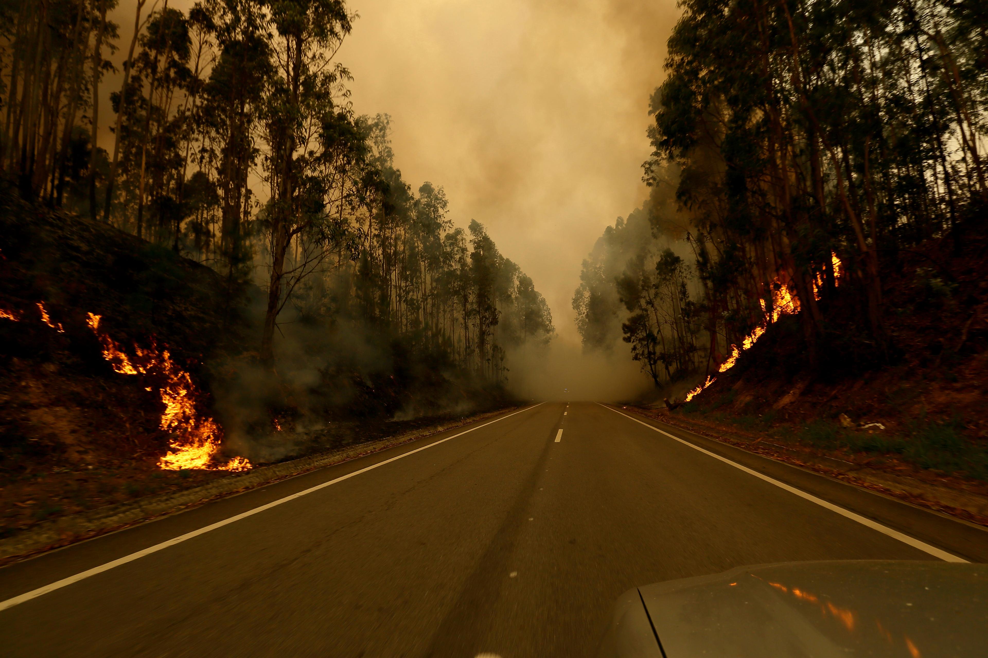 Lågorna närmar sig Sever do Vouga, mellan Porto och Coimbra i norra Portugal, på en bild tagen på tisdagen. Foto: Bruno Fonseca/AP/TT