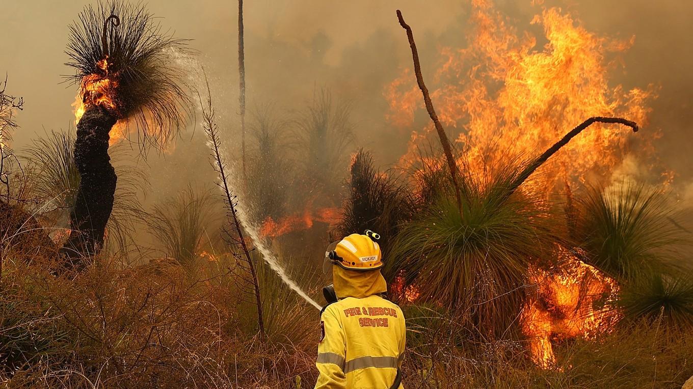 Brandmän bekämpar en skogsbrand utanför Perth i Australien, i februari 2021. Ett nytt satellitsystem förväntas förbättra både bekämpning och prognoser. Foto: Paul Kane/Getty Images