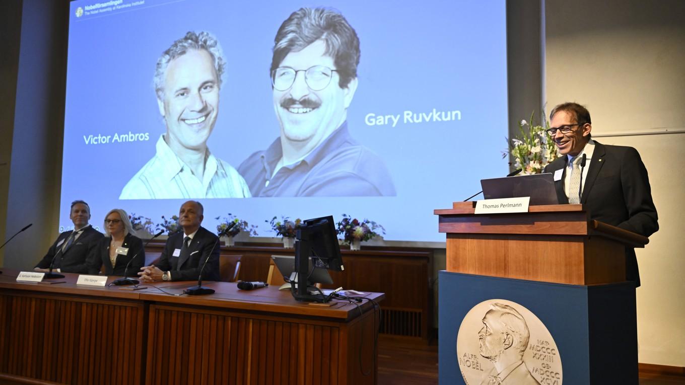 Victor Ambros och Gary Ruvkun tilldelas årets Nobelpris i fysiologi eller medicin. Foto: Christine Olsson/TT