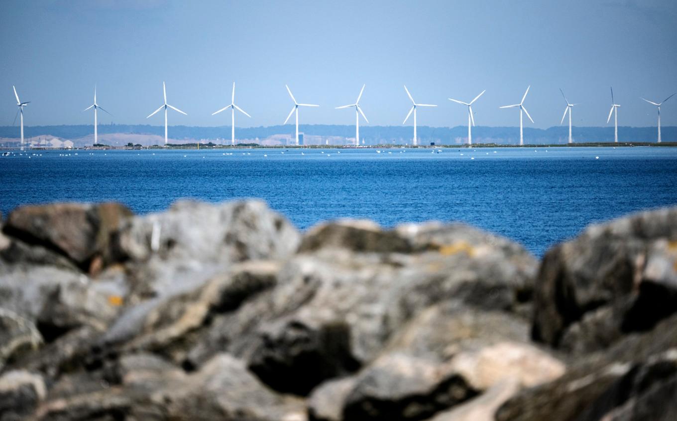 Vindkraftverk utanför danska Amager. Arkivbild. Foto: Johan Nilsson/TT