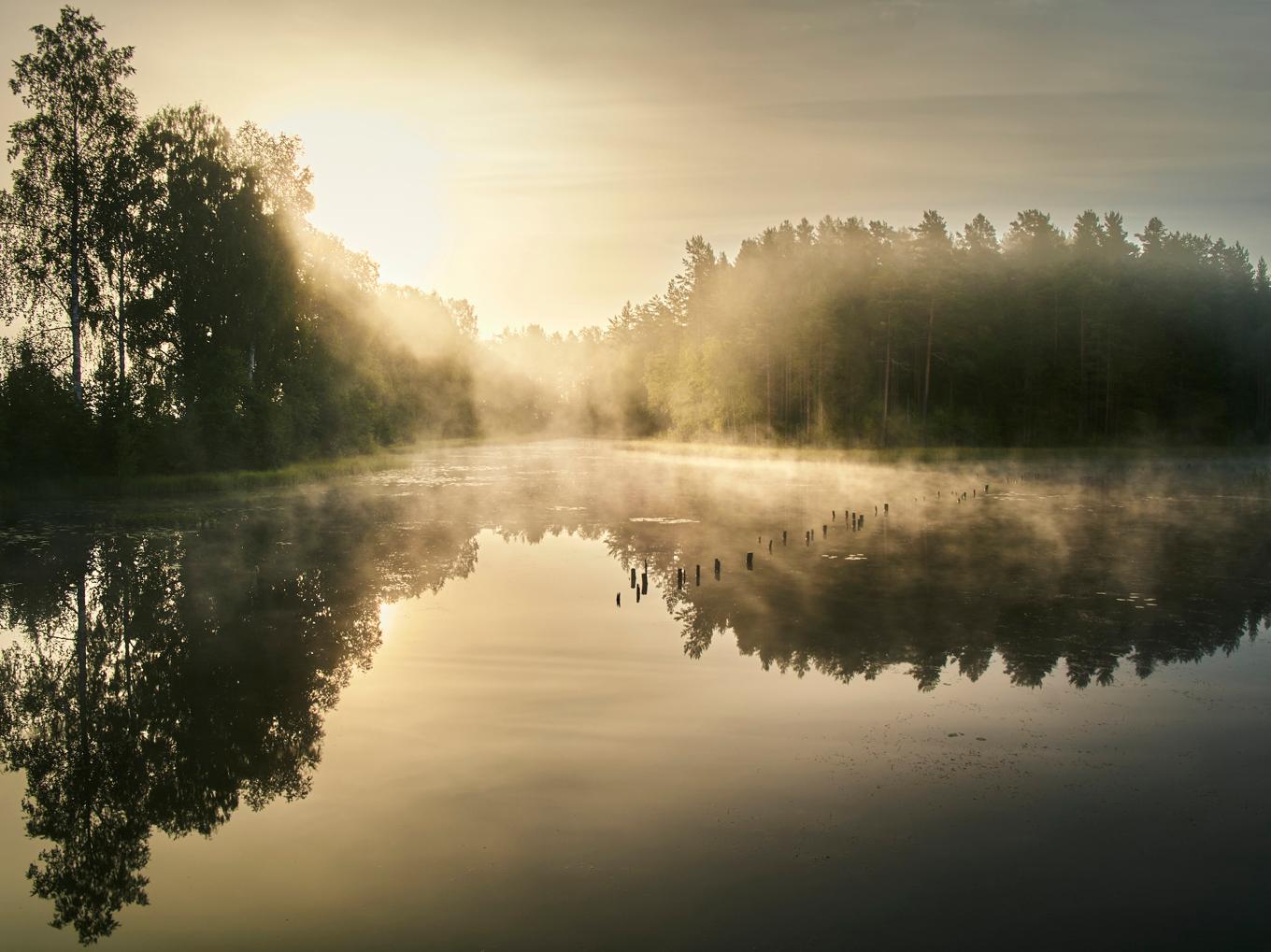 För en biolog är en skog mer än bara träd och naturupplevelser. Den är fylld med spännande växter som kan berätta om dess historia. Foto: Johan Landquist Luxemburg