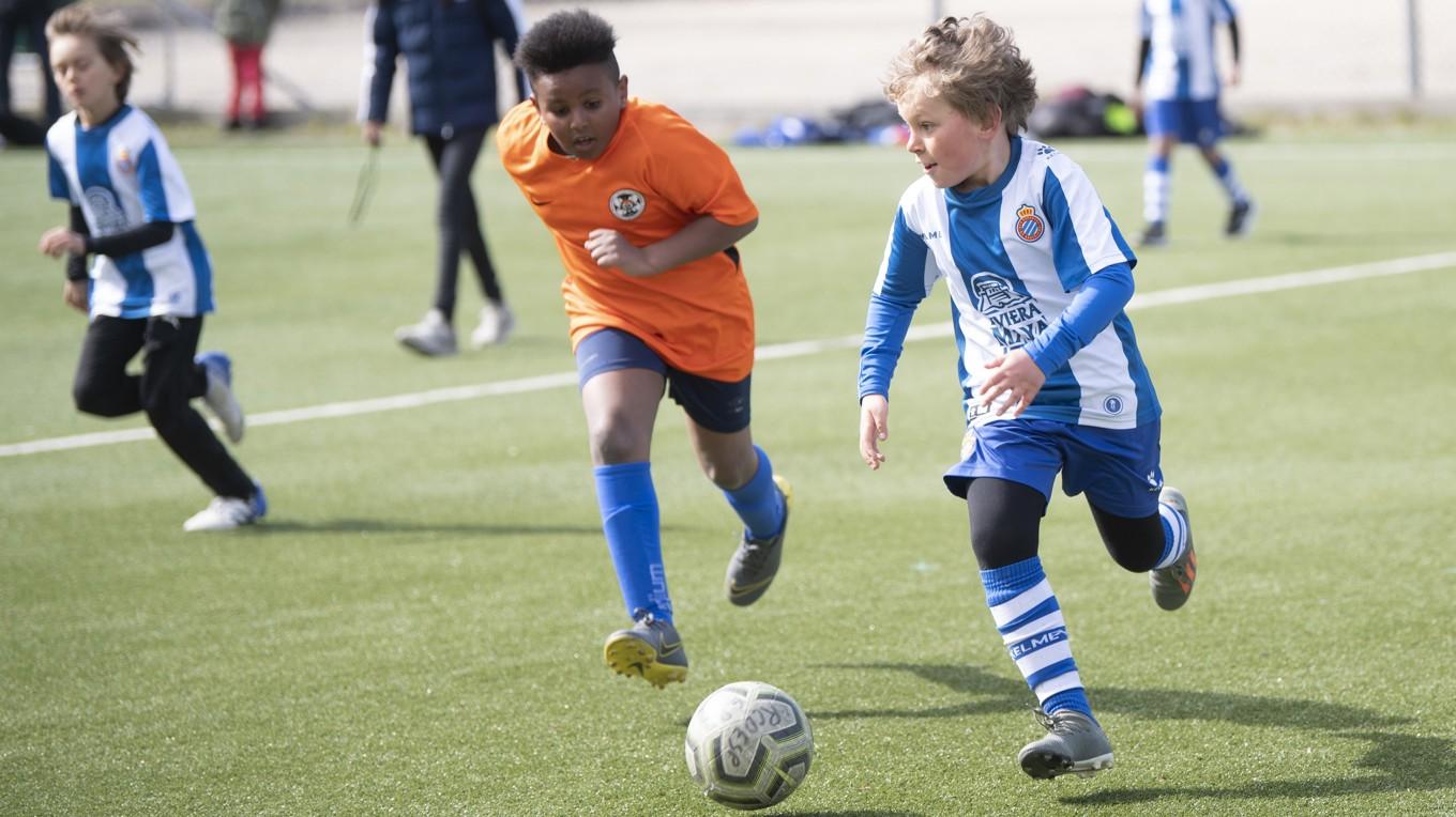 Flera storklubbar selekterar barnen redan när de är åtta år. På bilden ser vi en knattematch i St: Erikscupen – pojkar 2011, Fisksätra (i orange) mot Espaniol.
Foto: Fredrik Sandberg/TT