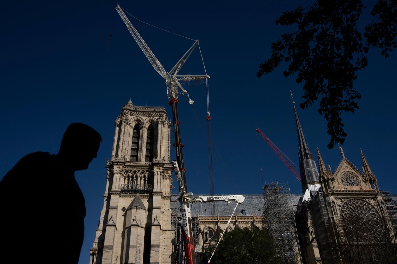 Pariskatedralen Notre Dame på en bild tagen i slutet av oktober. Foto: Louise Delmotte/AP/TT