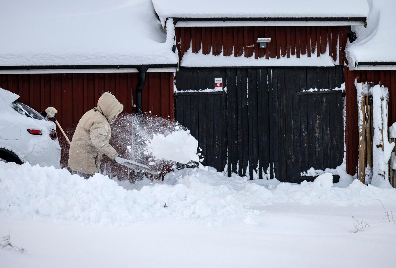 Bild från november 2023 då ett snöoväder drog in över östra Skåne. Foto: Johan Nilsson/TT