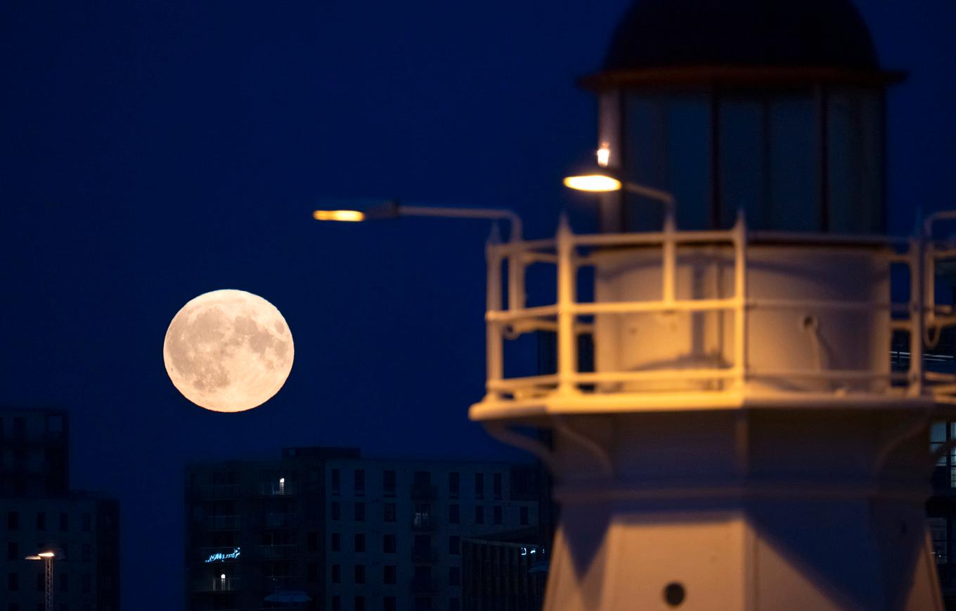 På bilden ses årets första supermåne den 19 augusti. Foto: Johan Nilsson/TT