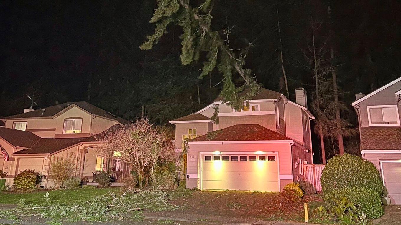 Ett träd som fallit över ett hus i Issaquah i delstaten Washington. Foto: Räddningstjänsten i Eastside via AP/TT