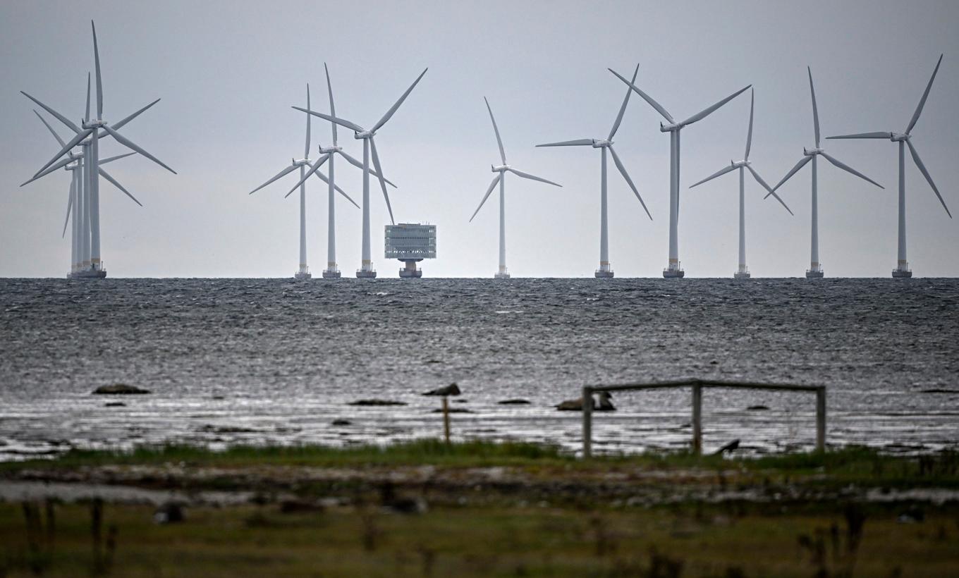 En av ganska få svenska havsvindparker, Lillgrund söder om Öresundsbron. Arkivbild. Foto: Johan Nilsson/TT