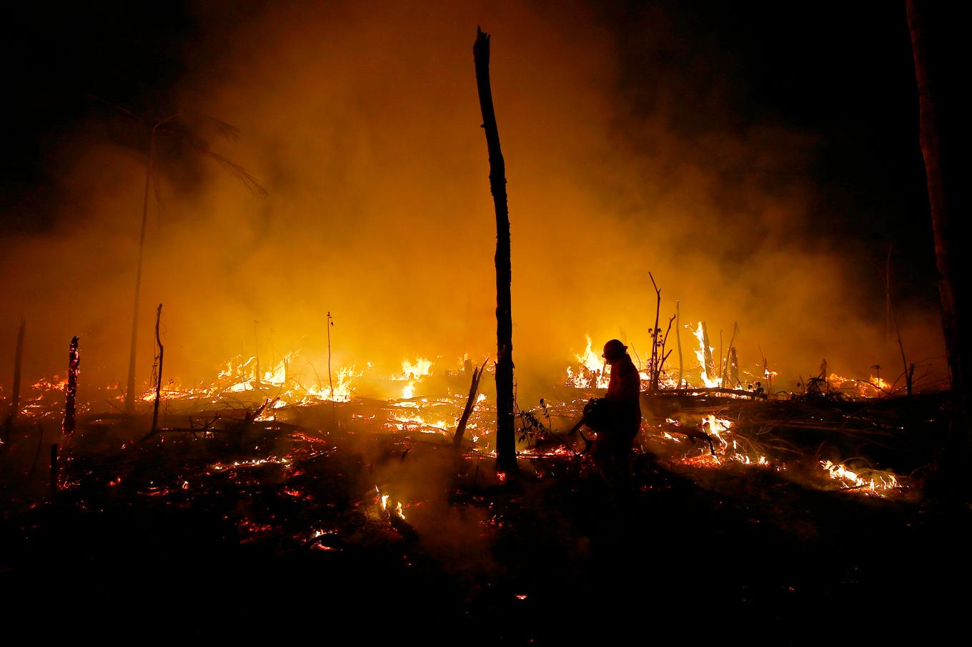 Brinnande skog i delstaten Amazonas i Brasilien 2023. Arkivbild. Foto: Edmar Barros/AP/TT