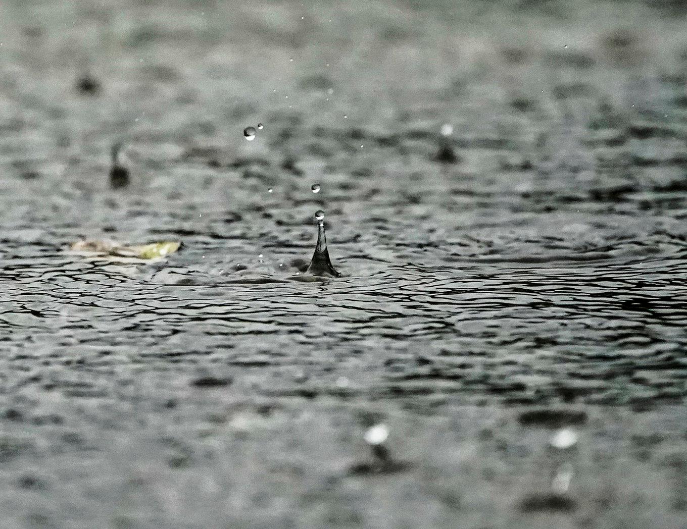 Dagen har börjat med regn på flera håll i landet. Senare under dagen väntas minusgrader. Arkivbild Foto: Lise Åserud/NTB Scanpix/TT