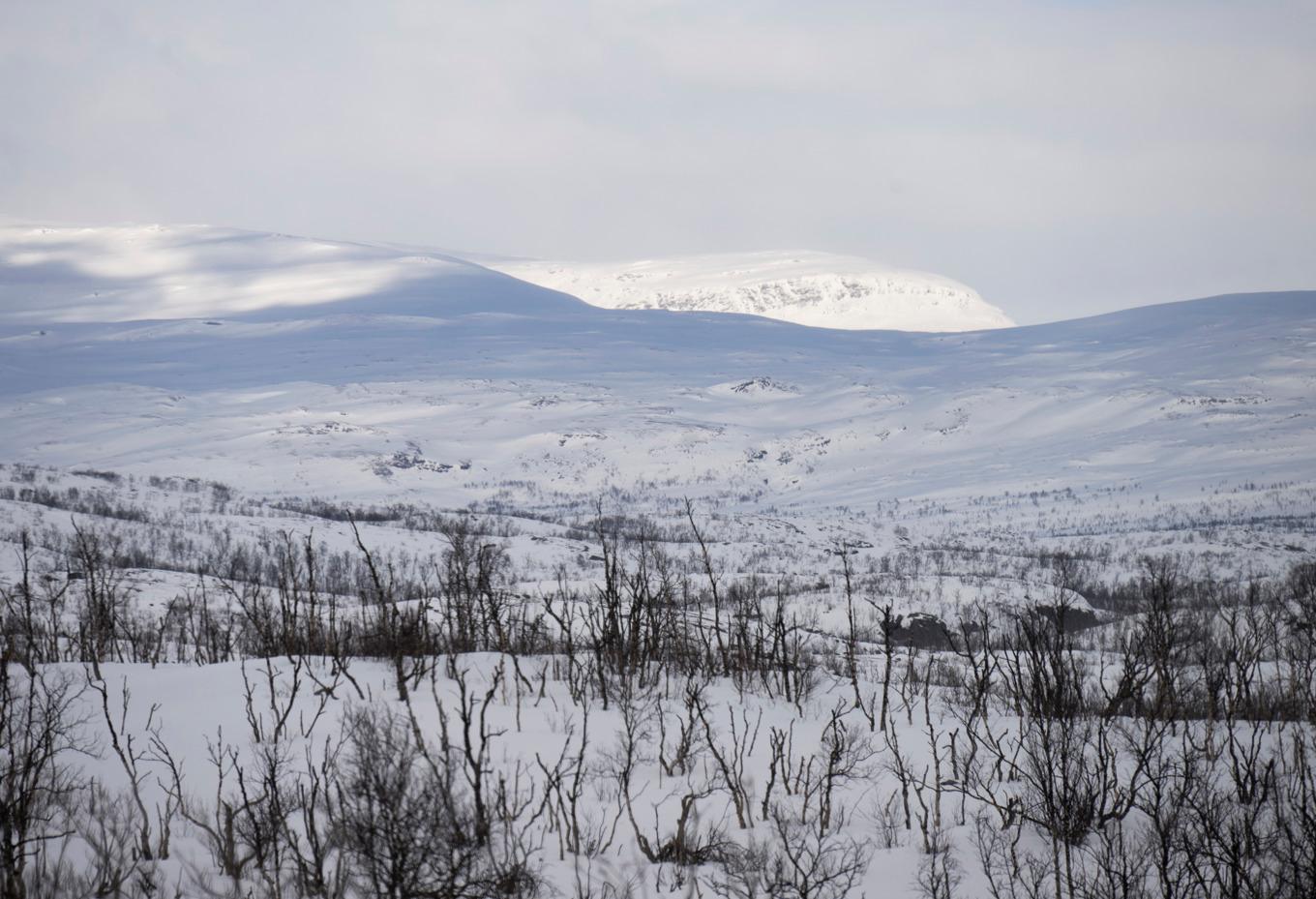 Vind i kombination med snöfall ställer till det för den som tänkt ge sig ut på en fjälltur på juldagen. Arkivbild. Foto: Fredrik Sandberg/TT