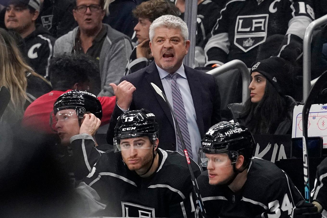 Todd McLellan tar över efter att Detroit sparkat sin nuvarande tränare. Arkivbild. Foto: Mark J. Terrill/AP/TT