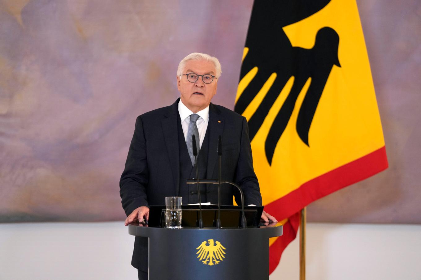 Tysklands president Frank-Walter Steinmeier tillkännager beslutet att upplösa den tyska förbundsdagen. Foto: S'ren Stache/AP