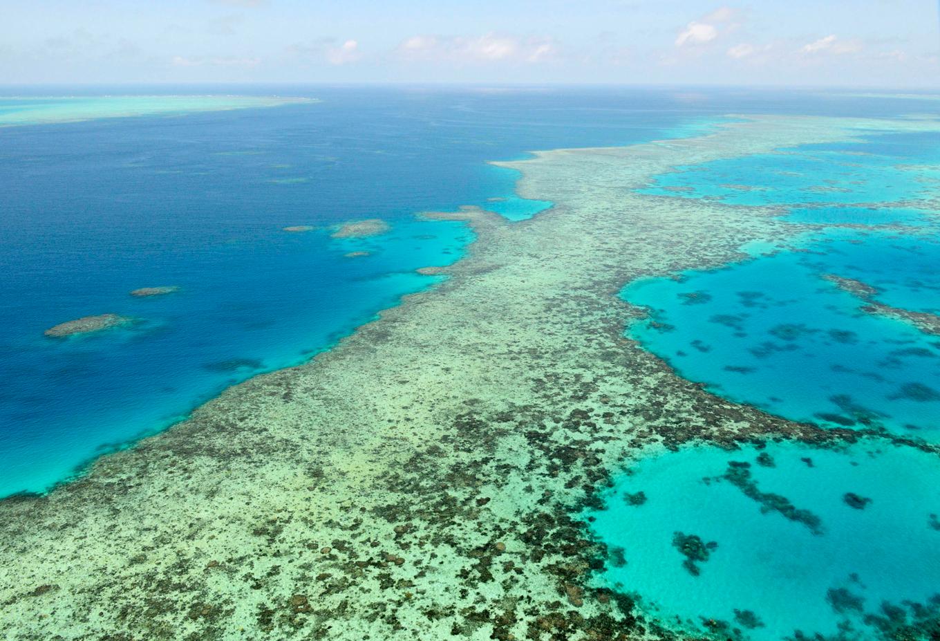 Stora barriärrevet i Australien. Arkivbild. Foto: Kyodo News/AP/TT