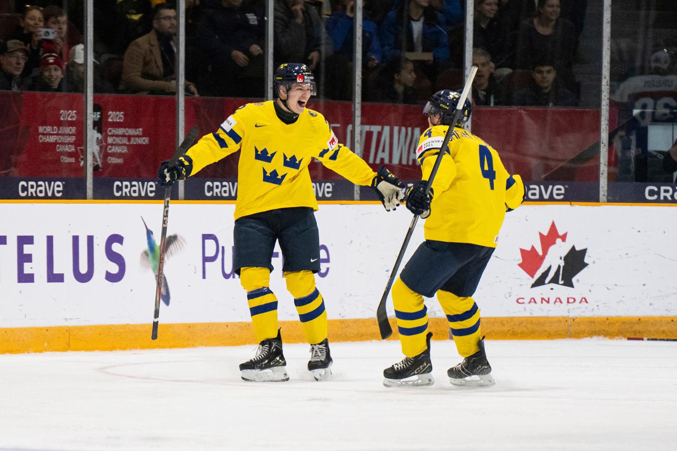 Sverige har inlett junior-VM med tre övertygande segrar. Här syns Rasmus Bergqvist och Axel Sandin-Pellikka jubla över ett mål tidigare under turneringen. Foto: Spencer Colby/The Canadian Press/AP/TT